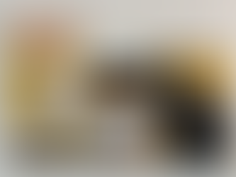 Les ruches des Cartonnages Vaillant 