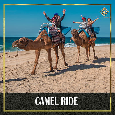 CAMELL RIDE (1).jpg