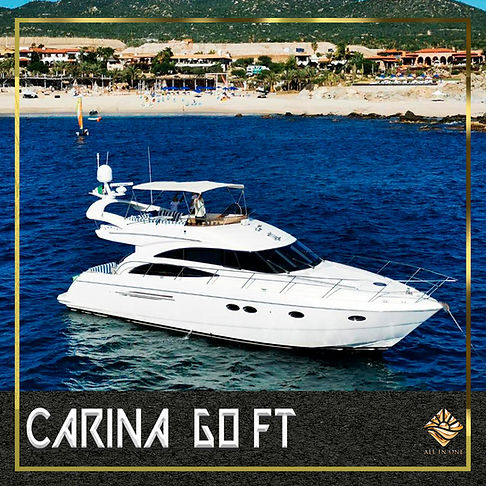 CARINA AZIMUTH 60.jpg