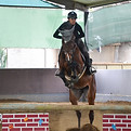 Ragazza e cavallo che saltano un ostacolo