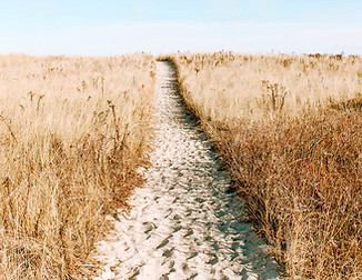 life's path