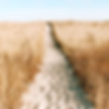 success coaching