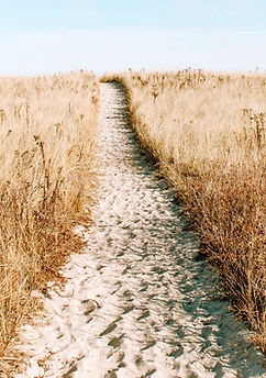 sentier naturel à travers l'herbe dorée menant vers l'horizon