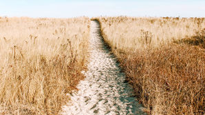 Growing Desire Among The Laity For Greater Involvement In Addressing Clergy Sexual Abuse