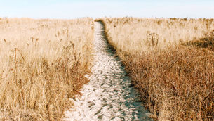 Bold Obedience: The Kind That Shifts Everything