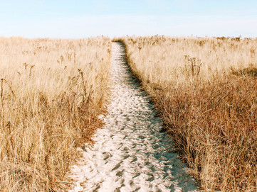 Counting the Omer: Pause to Bless the Everyday, Small Harvest