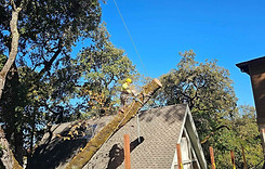 Zero-impact tree removal over residential roof by Skyline Tree Experts