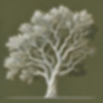 skyline tree experts vector tree