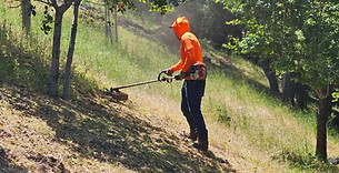 weed abatement for defensible space in los gatos skyline tree experts