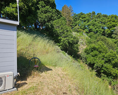Vegetation Management skyline tree experts 5