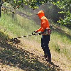 weed abatement los gatos california