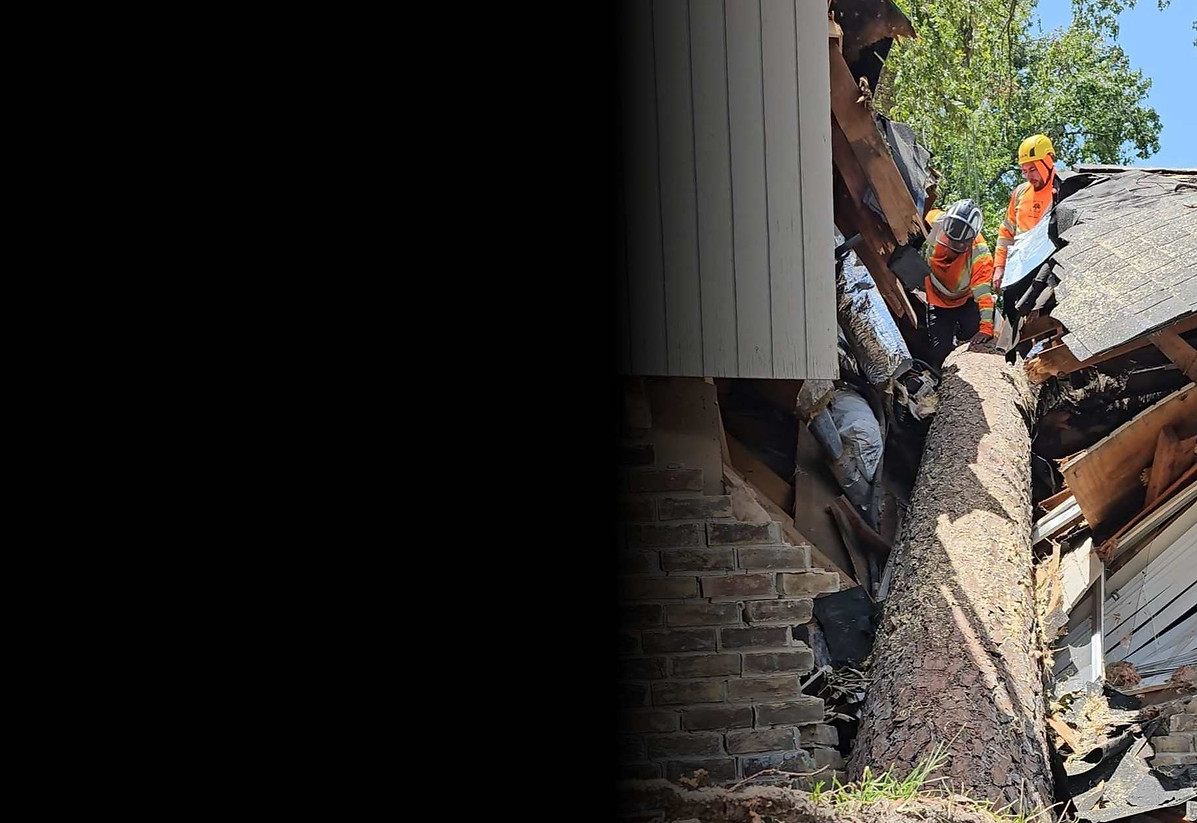 247 Emergency tree service removing a fallen tree from a damaged roof after a storm..jpg