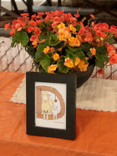 2020 Jr Show Award Table.jpeg