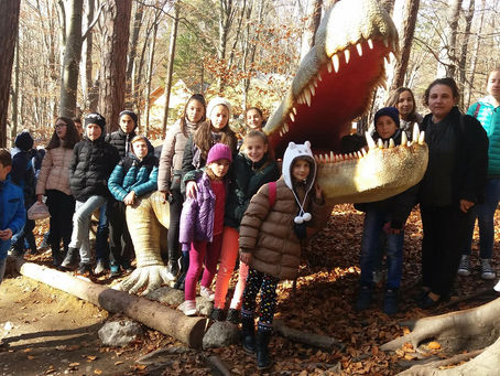 EXCURSIE LA BRASOV 2017