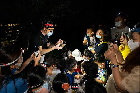 Night Safari Adventure.jpeg