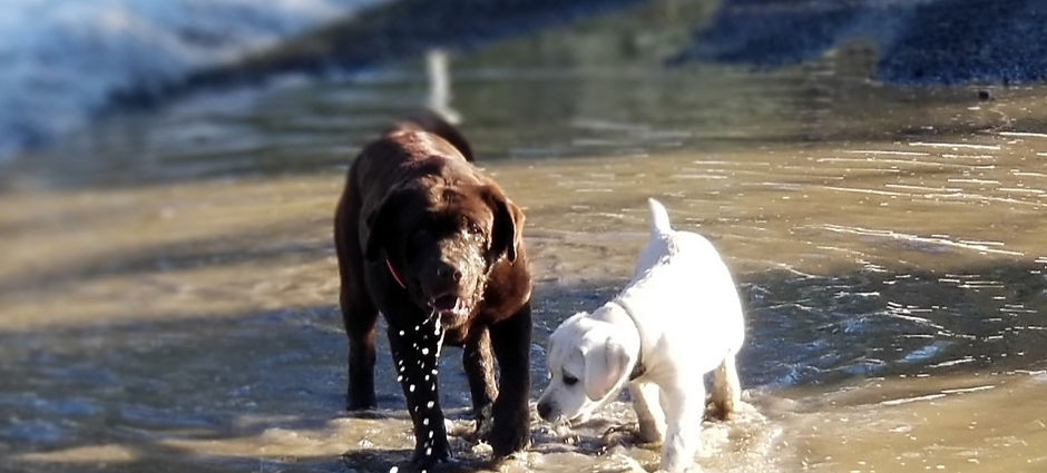 mud%20puddle%201_edited.jpg