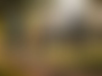 A young child walks hand in hand with one parent while the other parent and their new partner smile and wait to greet them, symbolizing healthy co-parenting with new relationships.