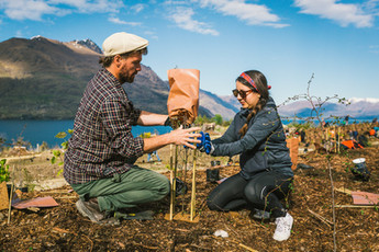 Trees that count TLC - Low res-22.jpg