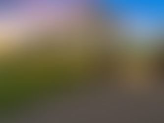 Architect vs. Builder: Who Should You Hire First for Your Dream Home