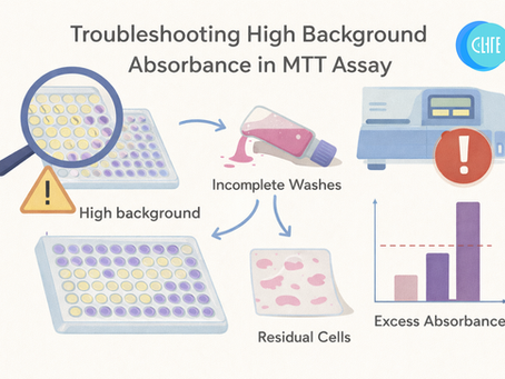 Troubleshooting High Background Absorbance in MTT Assays