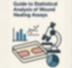 Understanding Cell Migration Statistical Significance in Wound Healing (Scratch) Assays
