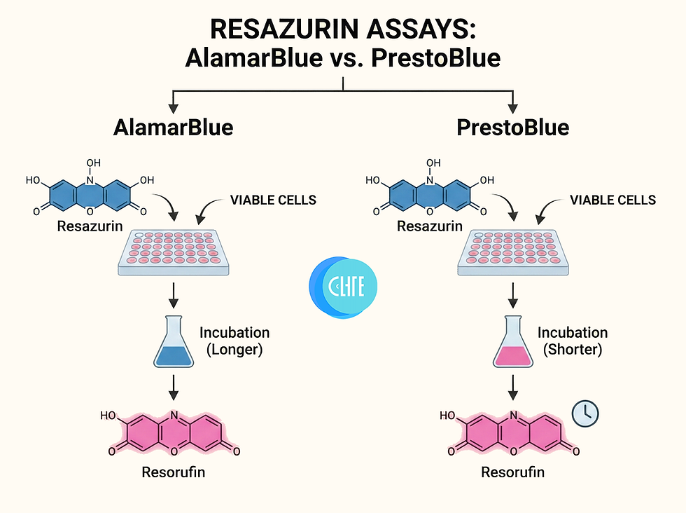 Resazurin Assays: AlamarBlue vs. PrestoBlue Protocols