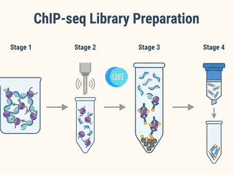Guide to ChIP-seq Library Preparation: Protocols, Optimization, and Troubleshooting