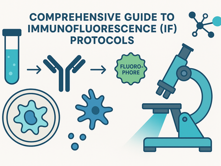 Comprehensive Guide to Immunofluorescence (IF)
