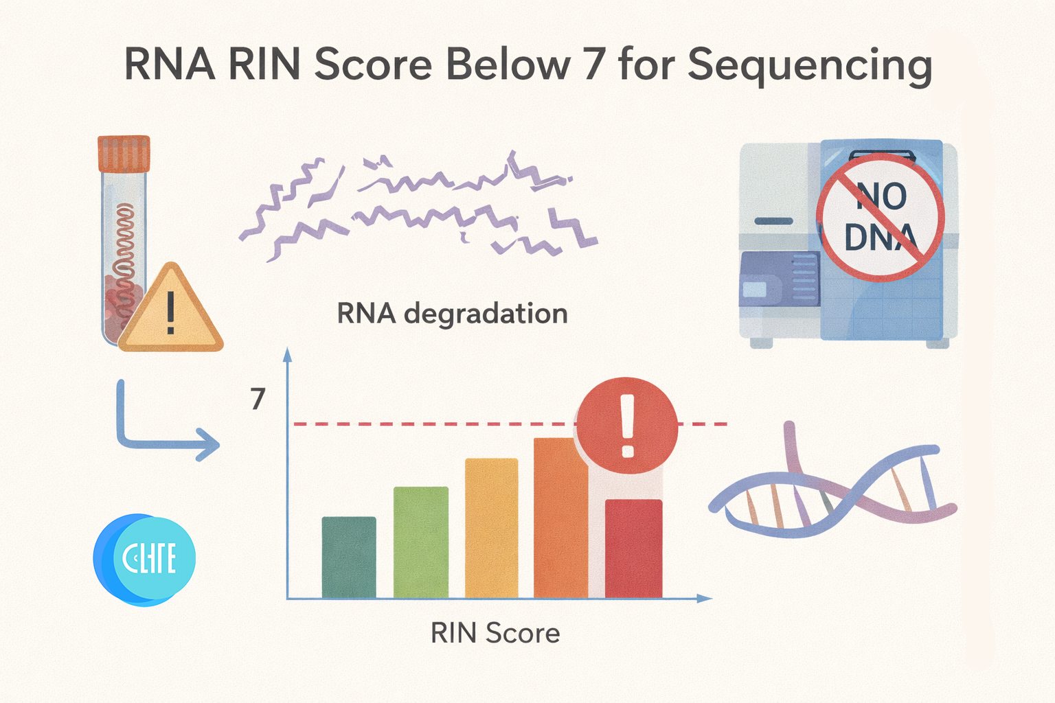 Human Rna Rin Can You Sequence RNA with a RIN Score Below 7? The Truth About RNA ...