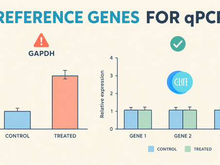 Reference Genes for qPCR: How to Choose and Validate Them (Beyond Just Using GAPDH)