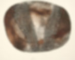 WV146_Galaxie_1960
