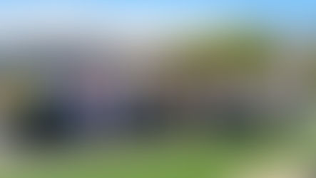 Diretora do NetLab UFRJ participa de reunião científica do IPIE sobre o ambiente informacional global