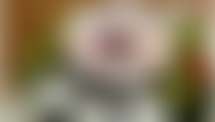 【 チーズプラトー 3月】春に楽しむプラトー♪