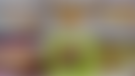 【世界チーズ紀行2026年1月】フランス地方巡り～ローヌ・アルプ地方～