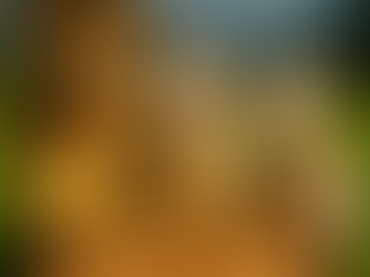 チーズアートセミナー(CHEESE ART COLLECTION2025)10月申込受付中です！