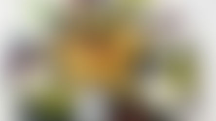 【 チーズプラトー 11月】パーティーで楽しむ華やかチーズプラトー♪～サン・タンドレ＆熟成ゴーダ～