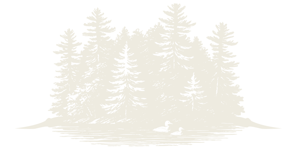 Pine Island Light.png