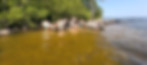 Island Beach.jpg