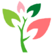 Logo de Divya Vivero Boutique Virtual
