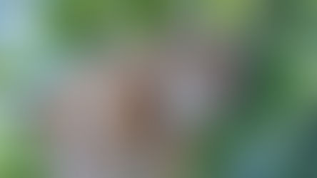 The Keeper of Secrets to Make its Return?