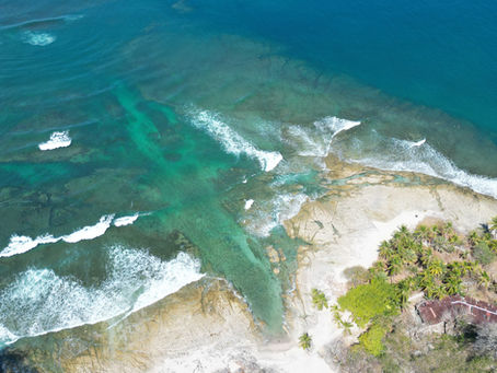 Cabo Blanco Nature Reserve: A Jewel in Costa Rica's Conservation Efforts