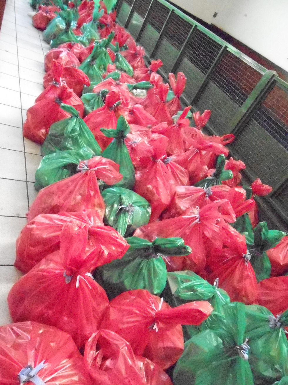 Festa de Natal 2014027.JPG