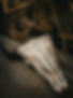image00002.jpeg
