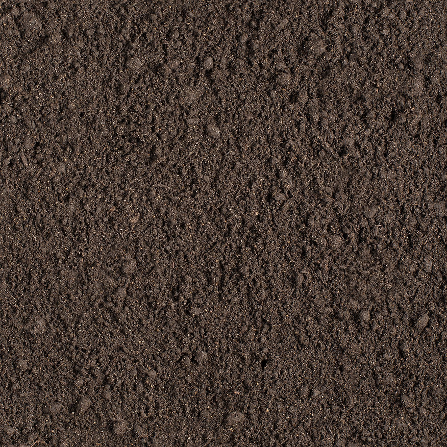 AdobeStock_148003870.jpeg