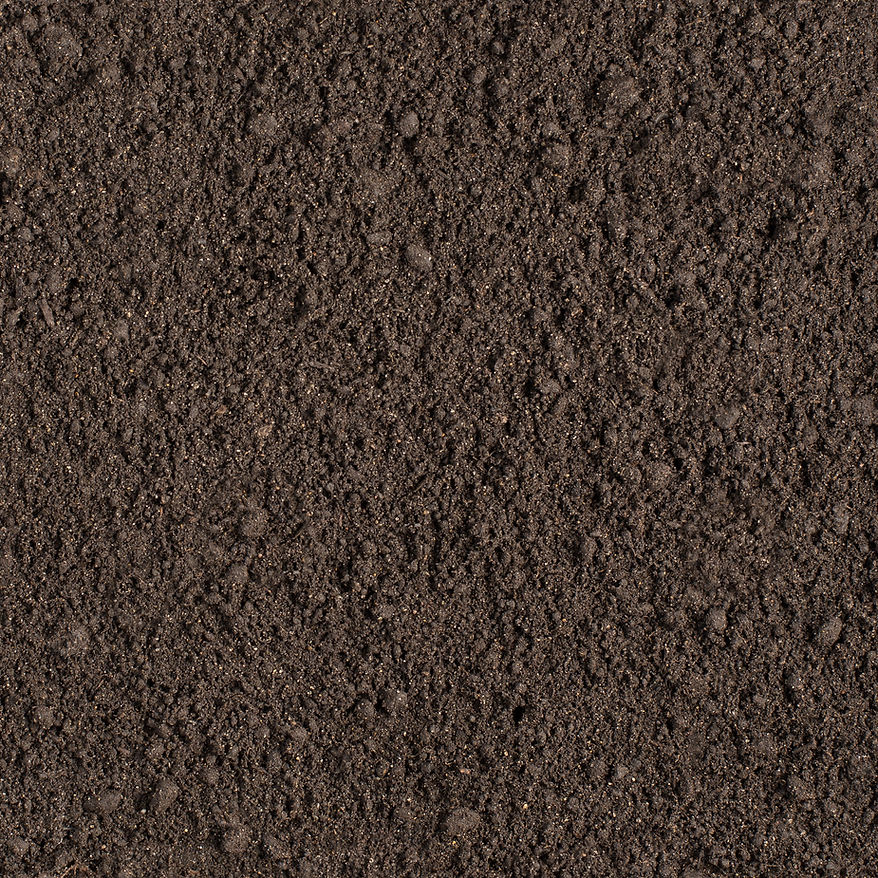 AdobeStock_148003870.jpeg