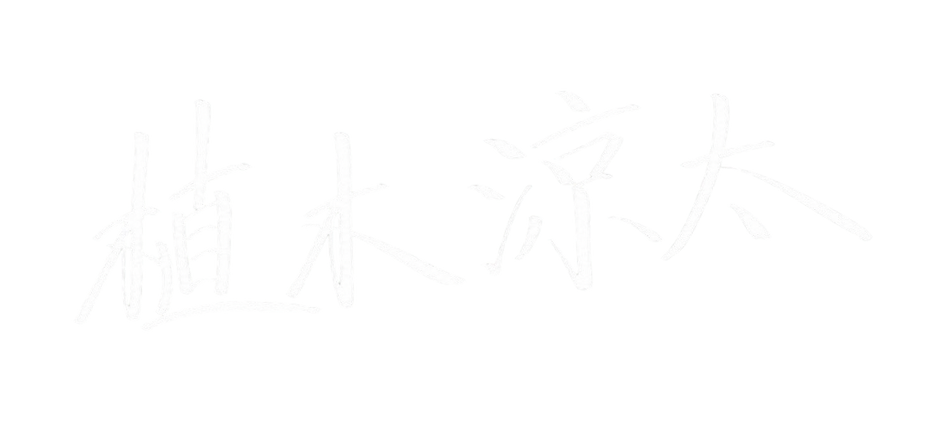 Untitled design 19.png.png