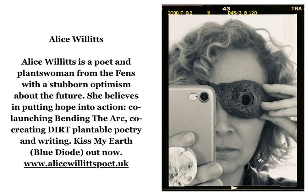 Forthcoming collaborative collection for hopeful futures coming March 2026