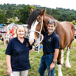 Horses 23.jpg