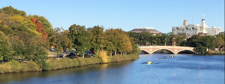 Sister to Sister Community Conversations: "A Walk Along the Charles River"--Sunday Nov 13th, Reserved for Black Women content media