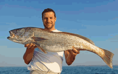 Fishing-GIF.gif